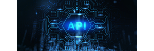 web-services-API-logo