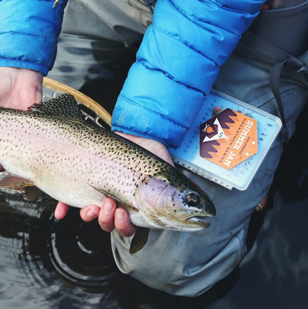 Image of Parcel Belgium