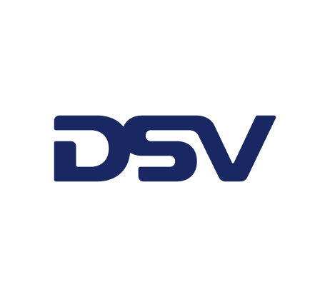 dsv-img