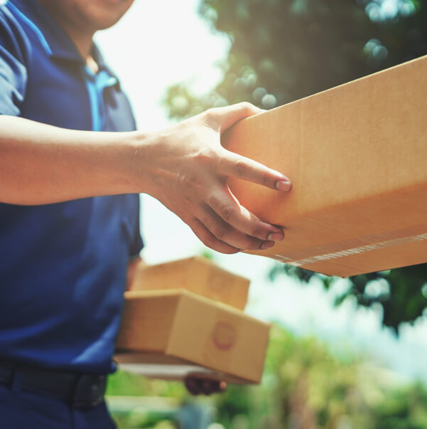 Image of About World Options U.S.